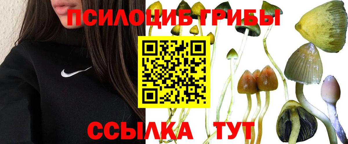 Воронеж  Псилоцибиновые грибы Magic Shrooms  Вход с VPN 